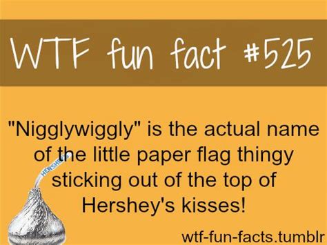 more of wtf fun facts are coming here funny and weird facts only laughter is the best medicine