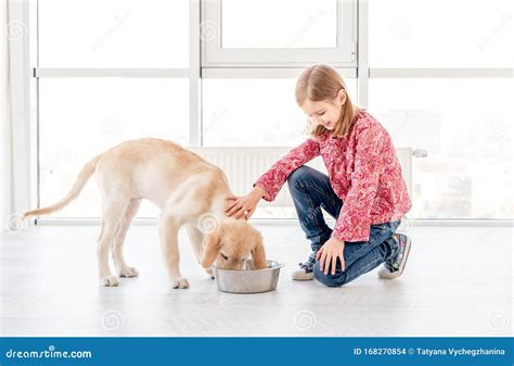 Cute Girl Feeding Dog Stock Photo Image Of Doggy Happiness 168270854