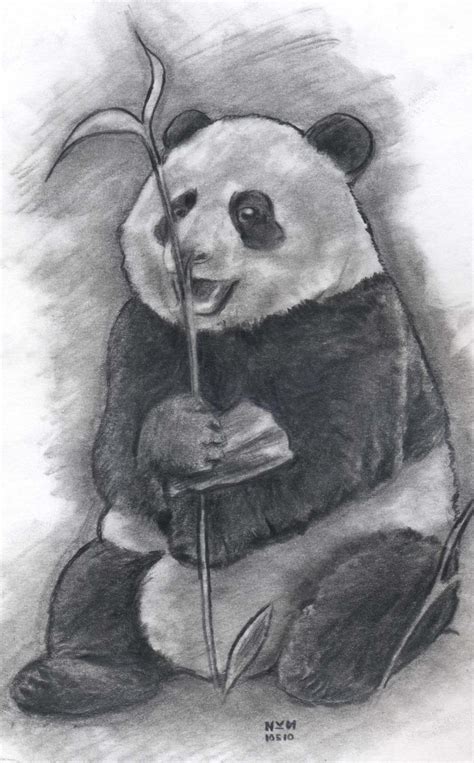How To Draw A Panda By Finalprodigy On Deviantart