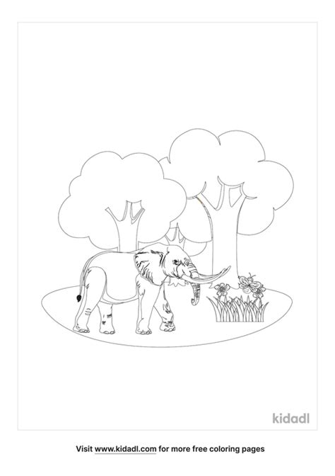 African Forest Elephant Coloring Page Free African Coloring Page Kidadl