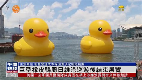 粤语报道巨型橡皮鸭18日维港巡游后结束展览 凤凰网视频 凤凰网