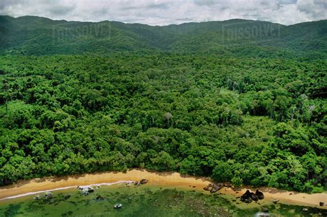 Lowland Rainforest Aerial Masoala National Park Northern Madagascar