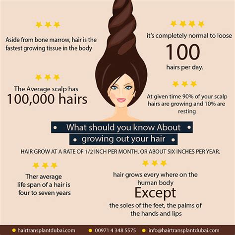 Hair Growth Facts Hair Growth Facts More Info Flickr