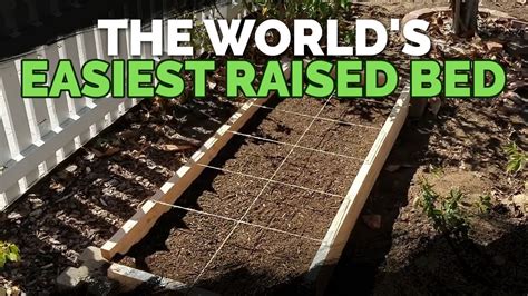 We did not find results for: How to Build Cheap, DIY Raised Garden Beds In Under 30 Minutes - YouTube