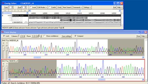 Eurofins Genomics The Sanger Sequencing Expert