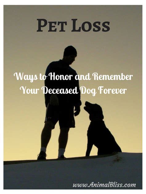 How To Honor And Remember Your Deceased Pet Forever Dog Remembrance