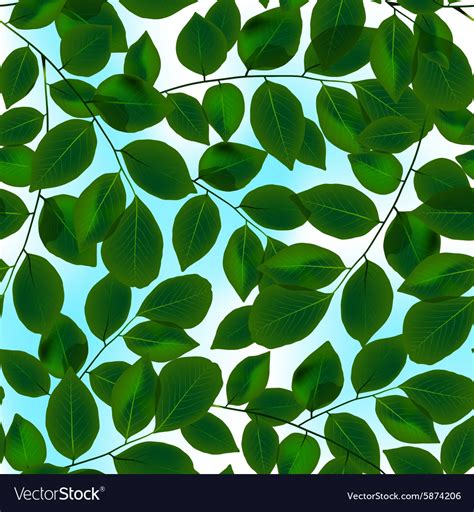 Green Leaves Canopy And Sky In A Seamless Pattern Vector Image