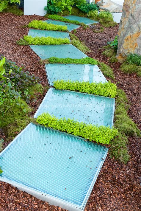 Scented Thyme Plants Used Between Stepping Stones Plant And Flower