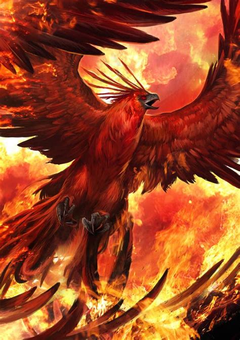 17 Best Thunder Bird Phoenix Images On Pinterest Fantasy Creatures