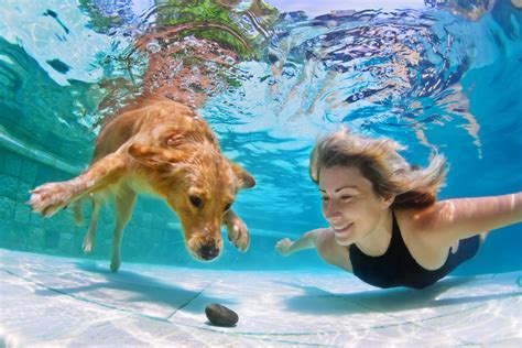 Russian Tech Allows Dogs To Breathe Underwater Russia Beyond