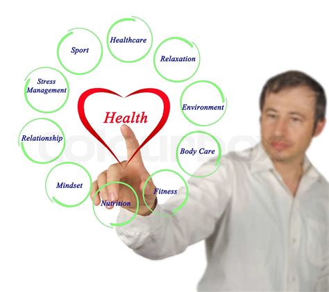 Diagram Of Health Stock Image Colourbox