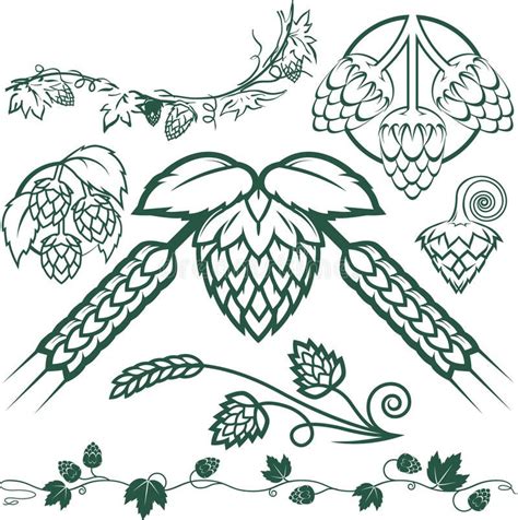 Hops Collection Clip Art Collection Of Hops Symbols And Icons Ad