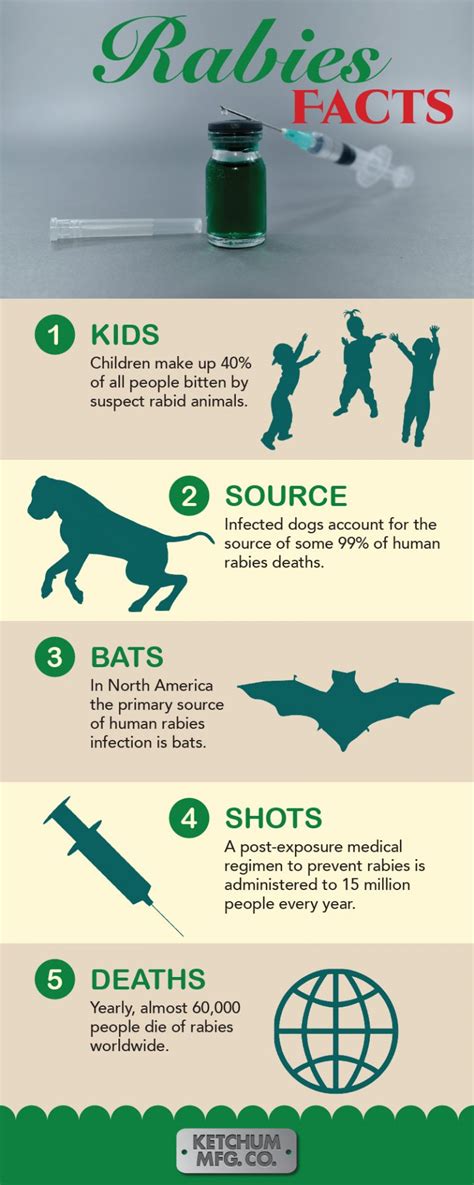 Rabies Infographic