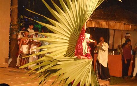 Thekkady Tribal Dance Art Forms From A Forgotten Era 5 Star Resort