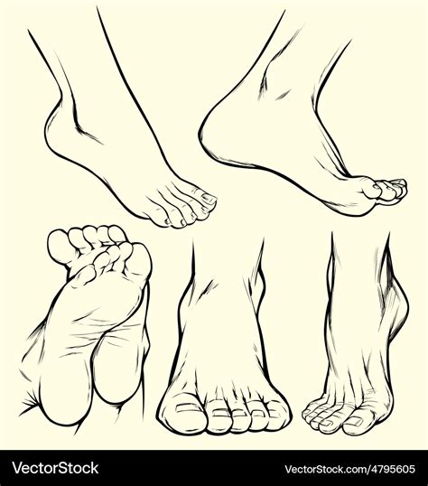 Feet Drawing