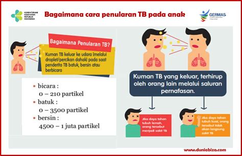 Gejala Tbc Pada Anak 5 Tahun Salam Sehat