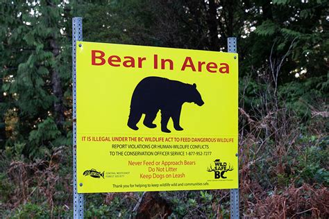 Bear Cougar Aware Lifesavers First Aid Training
