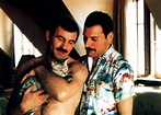 Freddie Mercury sí tuvo hijos. 20 Fotos con sus pequeños felinos a los ...
