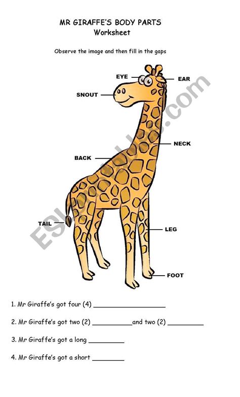Clipping is a handy way to collect important slides you want to go back to later. Animal body parts - ESL worksheet by johnsdesk