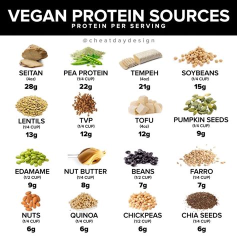 What Does 100g Of Protein Look Like A Visual Guide