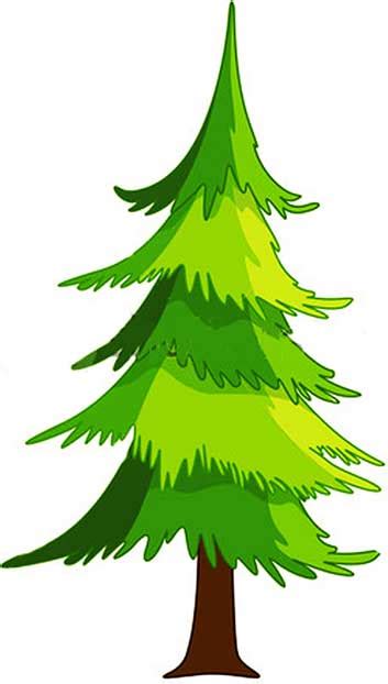 Spruce Tree Clip Art Clipart Best
