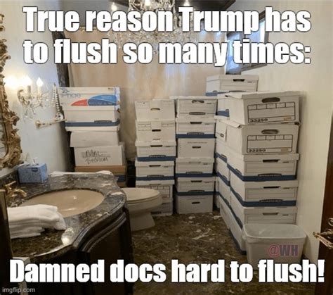 Had To Flush So Many Times Imgflip