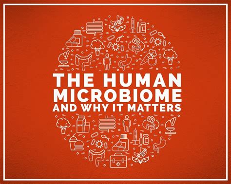 The Human Microbiome