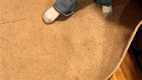 Inspection & test procedures for moldy or smelly indoor carpeting & rugs. Mold in carpet - YouTube