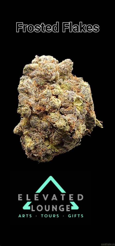 Frosted Flakes Secret Society Seed Co Cannabis Strain Gallery