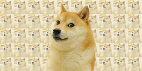 The Doge Meme Is Back—and This Time Its Liquified
