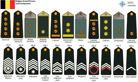 Belgian Army Rank Insignia