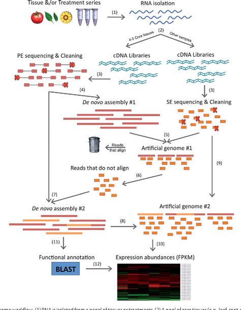 Figure 1 From Bioinformatics Challenges In De Novo Transcriptome