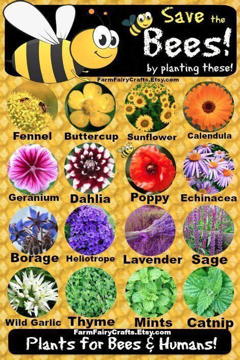 Help The Bees Plant These Save The Bees Bee Friendly Plants