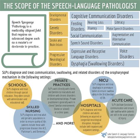 The Scope Of The Speech Language Pathologist Speech And Language