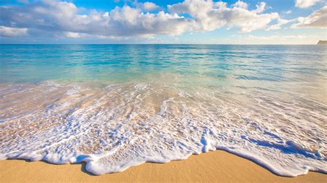 Photo Hawaii Ocean Nature Sand Waves Tropics Scenery Coast 1366x768