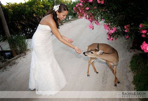 Check spelling or type a new query. Key West Wedding Photography | bridewithdeer | Key west wedding photography, Key west wedding ...