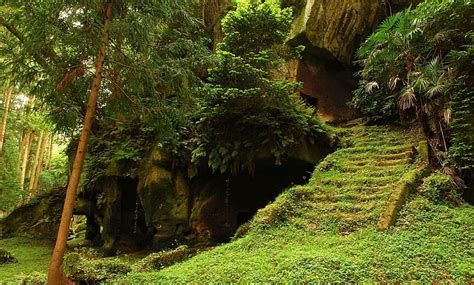 1170x2532px Free Download Hd Wallpaper Old Caves In Jungle Forest