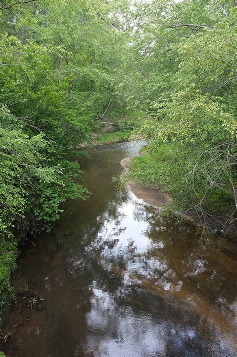 The trail offers a number of activity options. Lake Houston Wilderness Park - DearTexas,