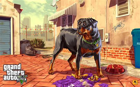 Grand Theft Auto V Artwork Franklin And Chop Auf Der Hut Rockstar Games