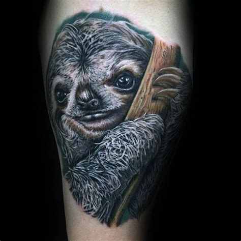 Realistic Sloth In Tree Tattoos For Guys On Arm New Tattoos Body Art