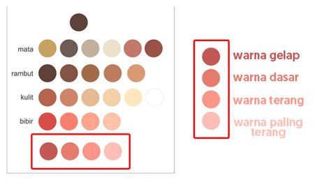 Cara Membuat Vector Hidung And Mulut Tutorial Vector Wajah 2 Rizqi