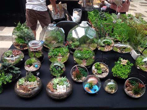 Well, not anymore, a visit to your local nursery isn't required at all. #Terrarium: 14 Best Places To Find "Little Gardens" In ...