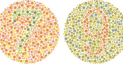 Is It Red Or Green Interesting Facts About Color Blindness — Eye To Eye