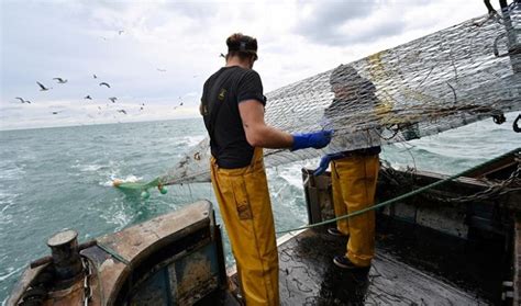 Fishing Deal Council Approves Eu Uk Accord On Fishing Opportunities Newstrack English