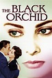 Orquídea negra (1958) Película - PLAY Cine