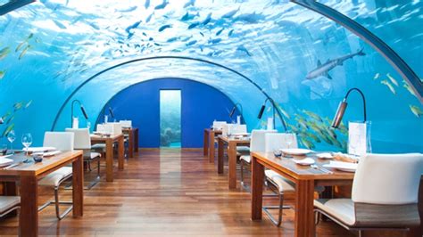 10 Of The Worlds Most Expensive Restaurants
