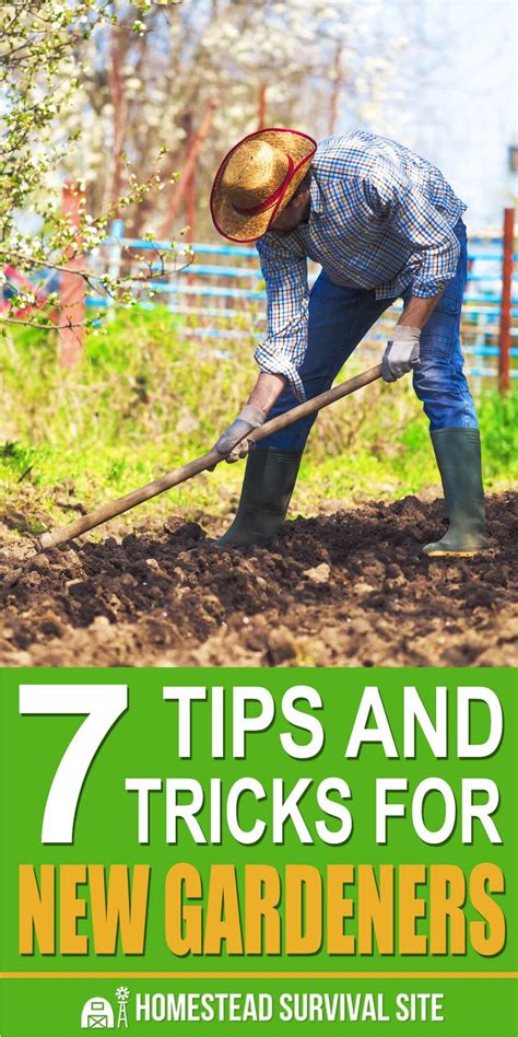 7 Tips And Tricks For New Gardeners Gardening Tips Homestead
