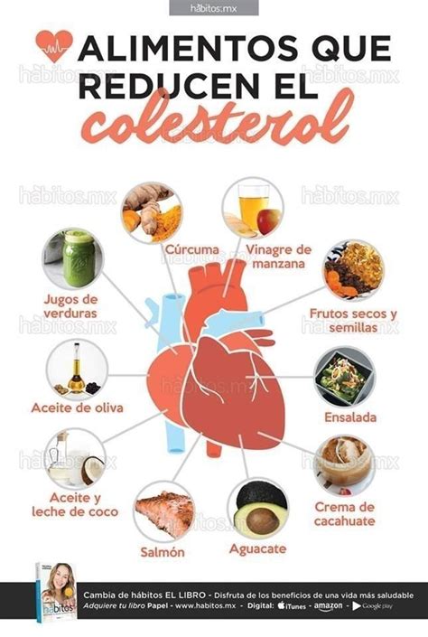 Alimentos Para Controlar El Colesterol ⋆ Nutrición Y Salud Yg