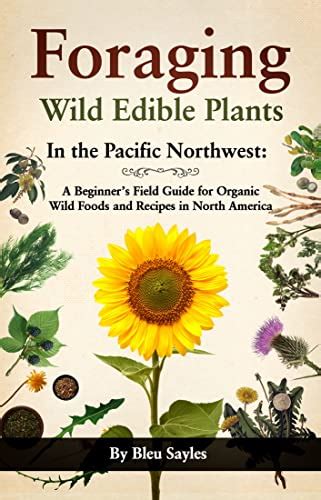 Foraging Wild Edible Plants In The Pacific Northwest A Beginners