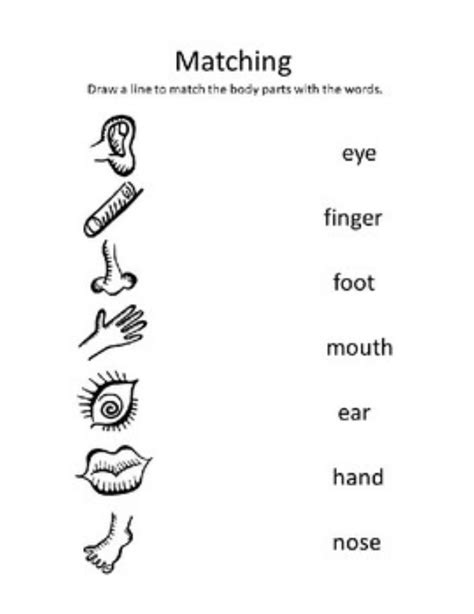 This worksheet includes 10 words about parts of the. Parts of the body online exercise for PRE SCHOOL